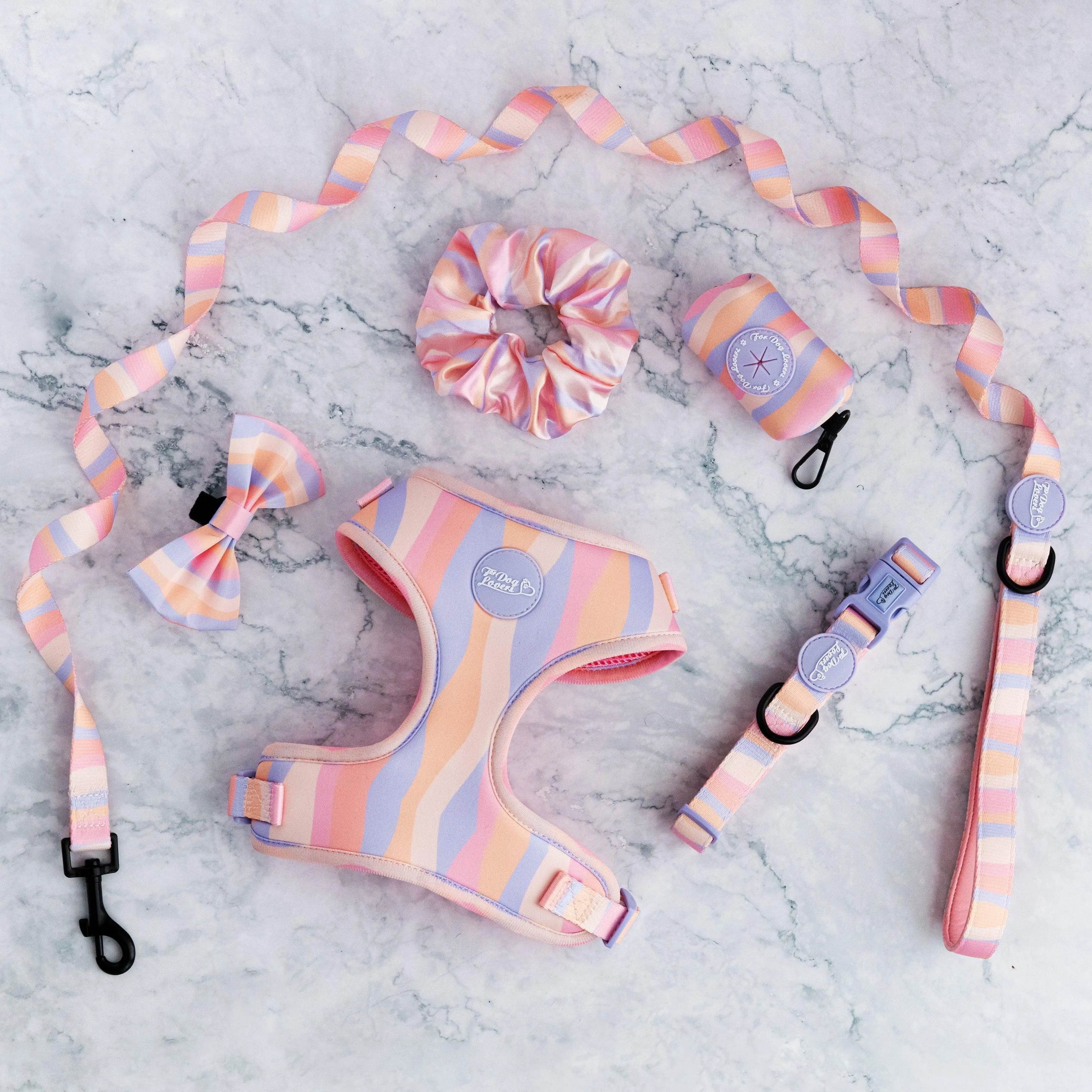 Adjustable Dog Harness Chase Away The Blues