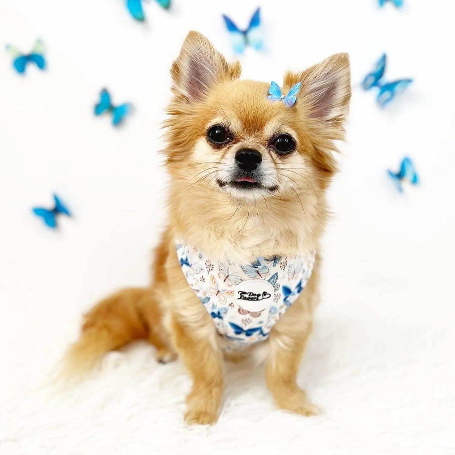 Adjustable Dog Harness Love Revolution