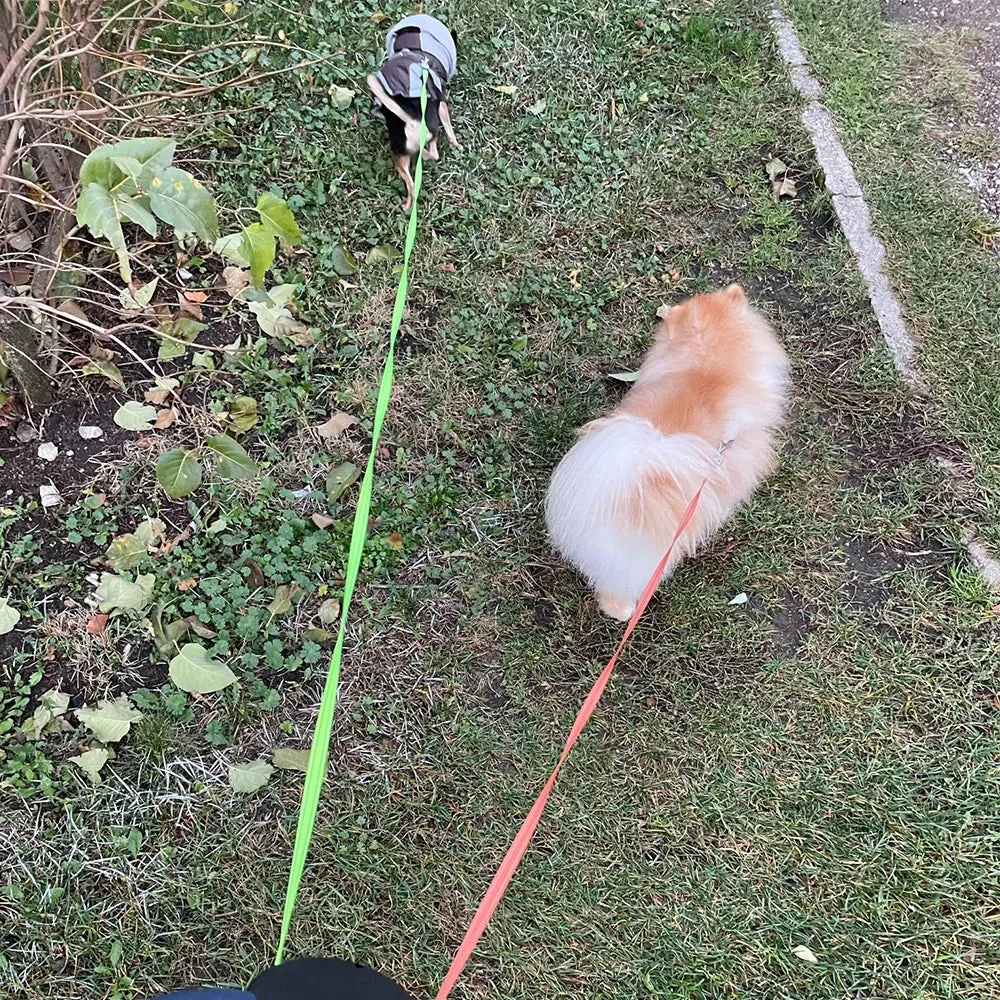 Auto Retractable Dual Dog Leash 3m Double-Ended Traction Rope With Flashlight Waste Bag Box Roulette for Small Medium Dogs