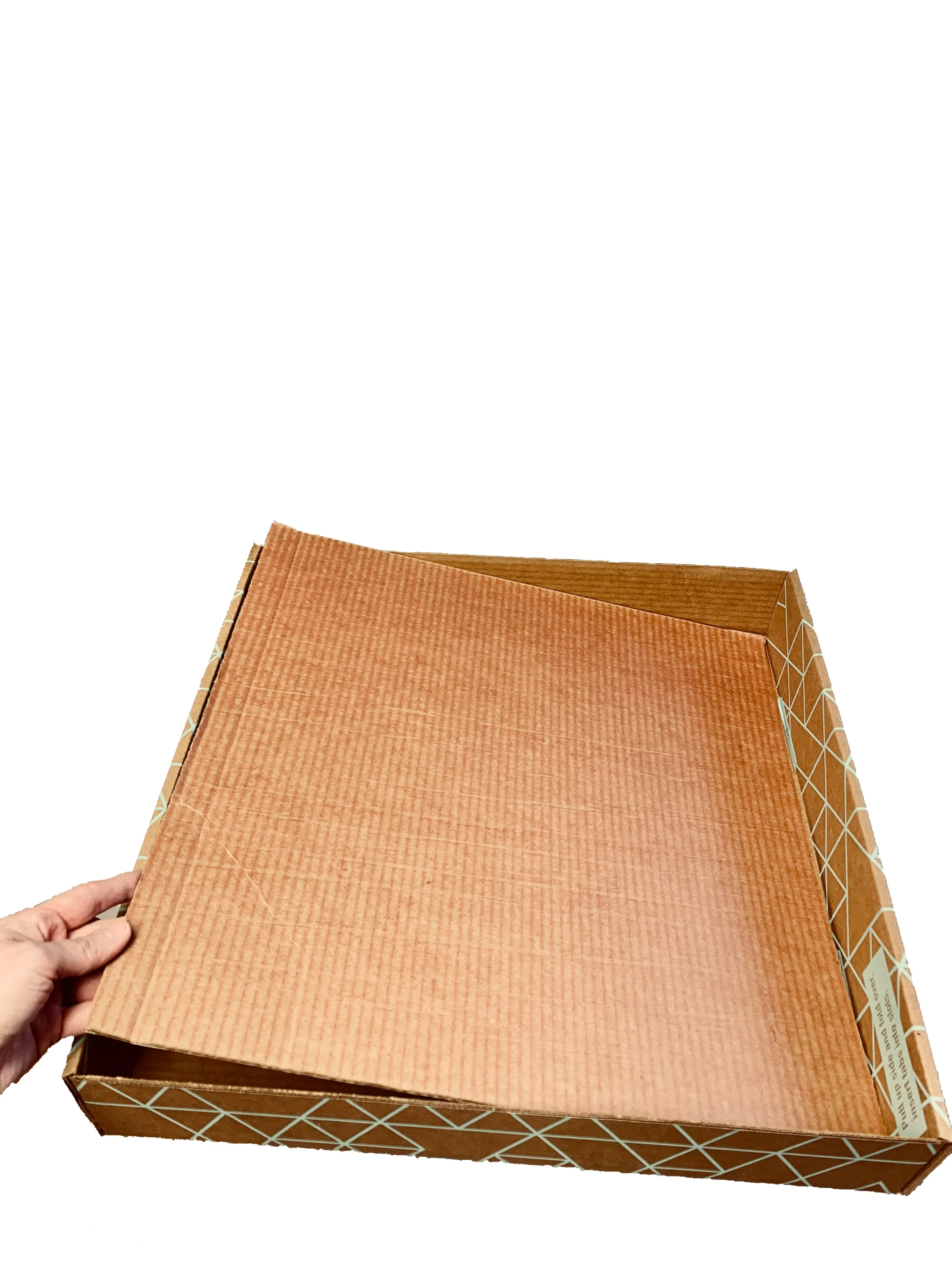 Cats Desire Top Entry Disposable Litter Boxes Wholesale BULK order-12 Sets.