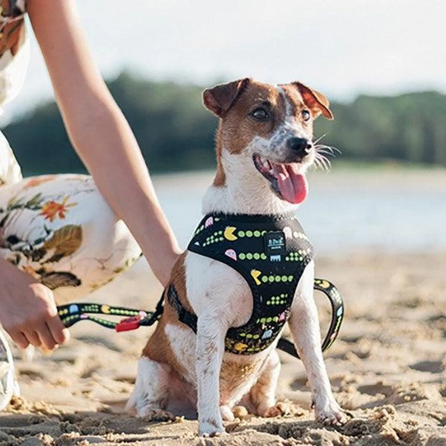 Dog Harness - Pac Man