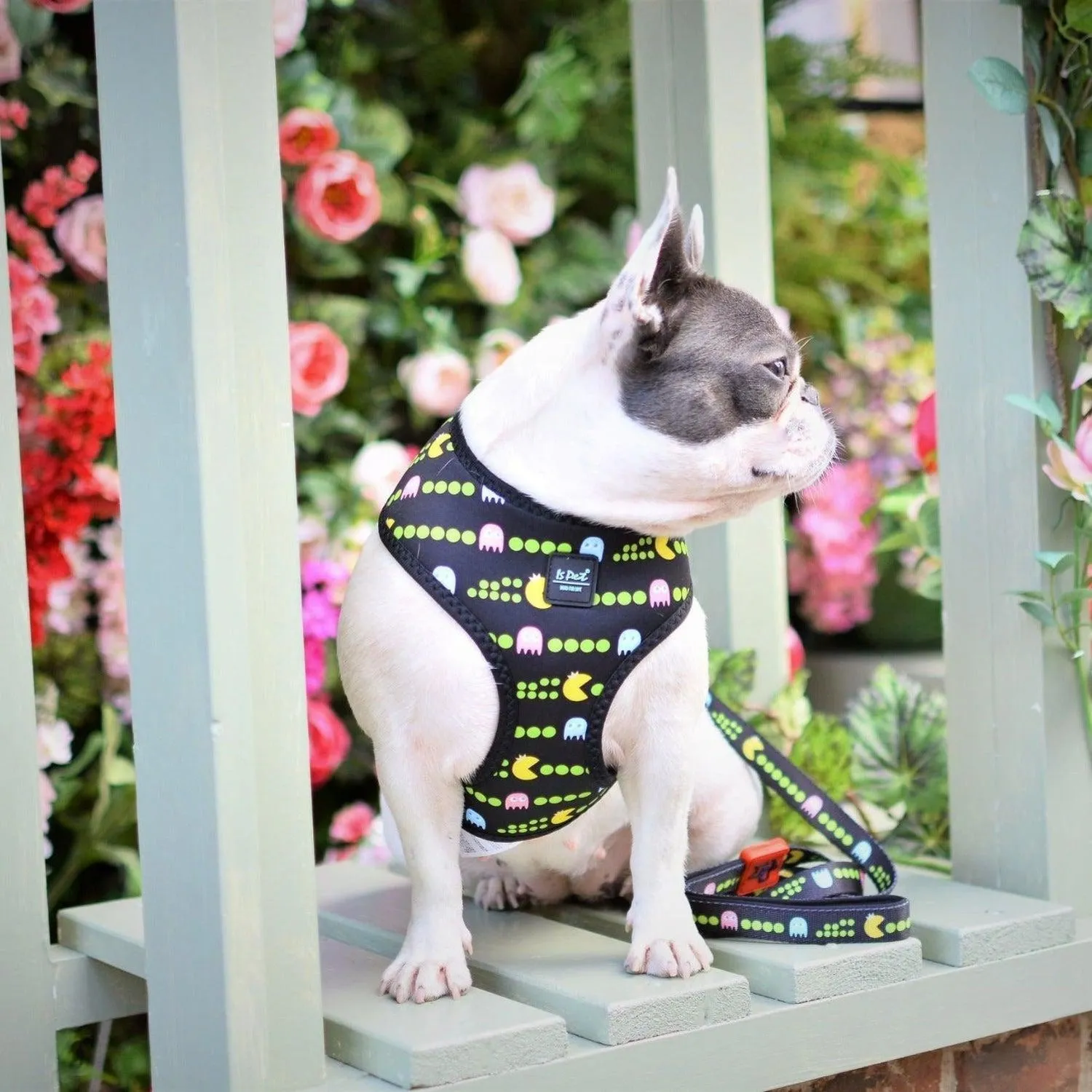 Dog Harness - Pac Man