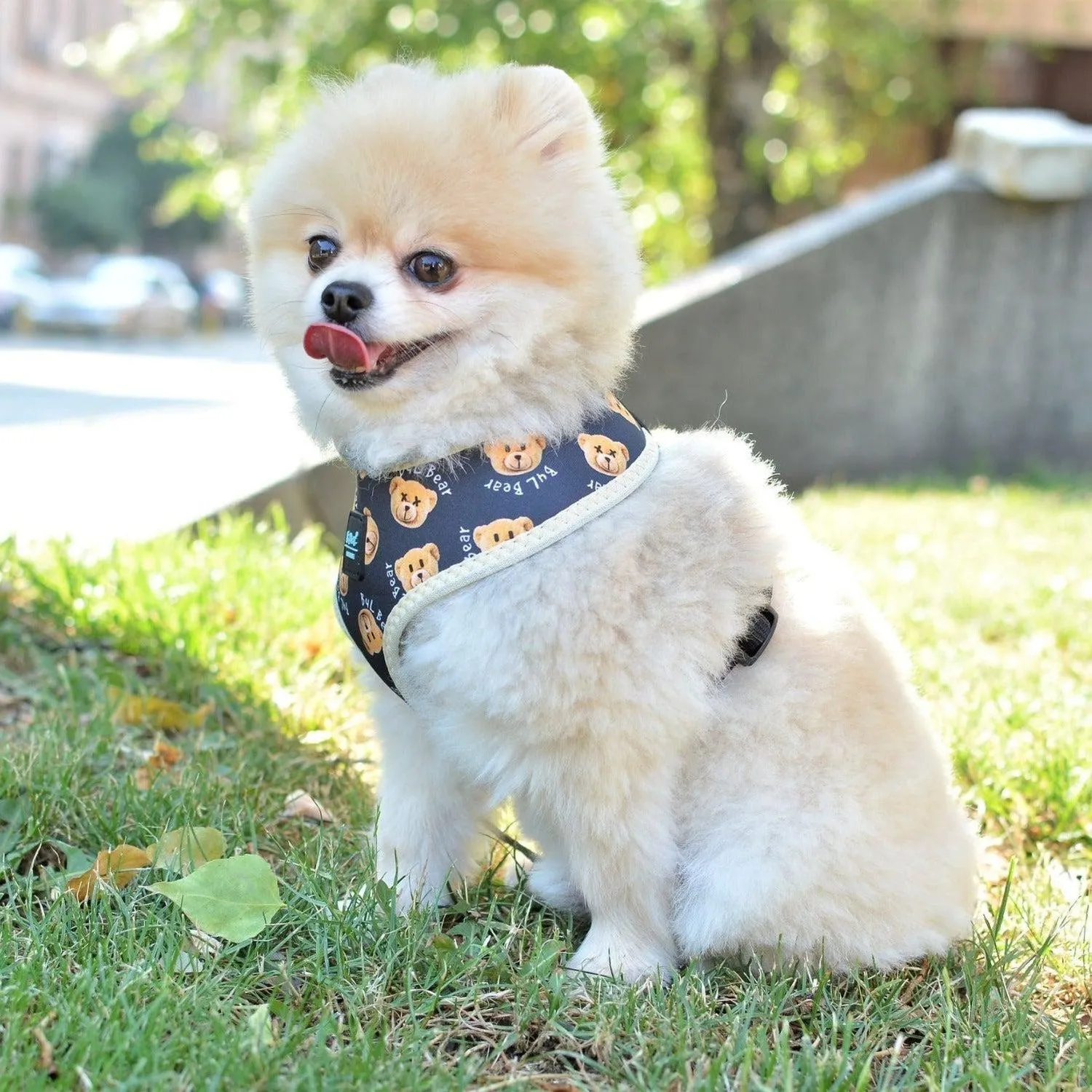 Dog Harness - Teddy Bear