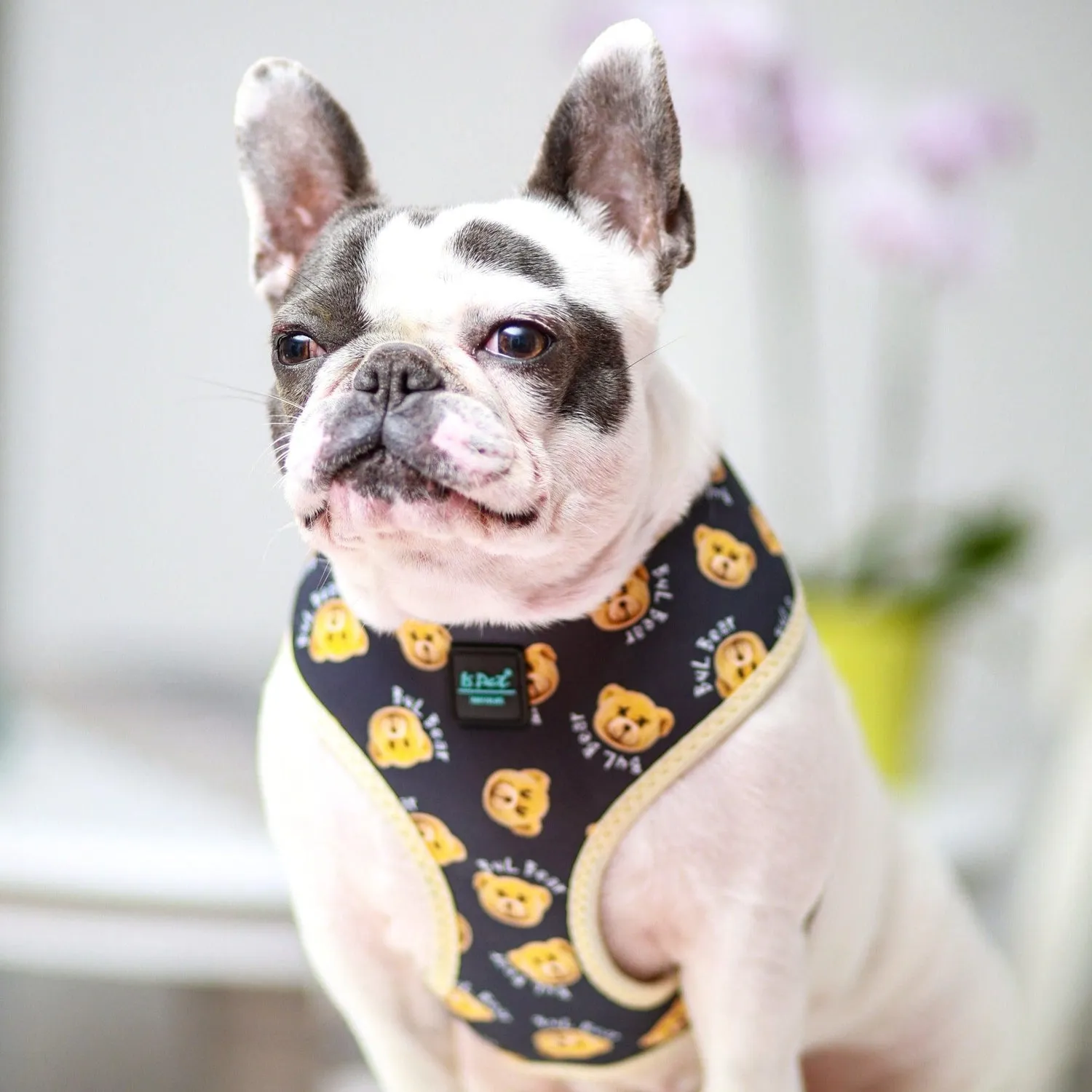 Dog Harness - Teddy Bear