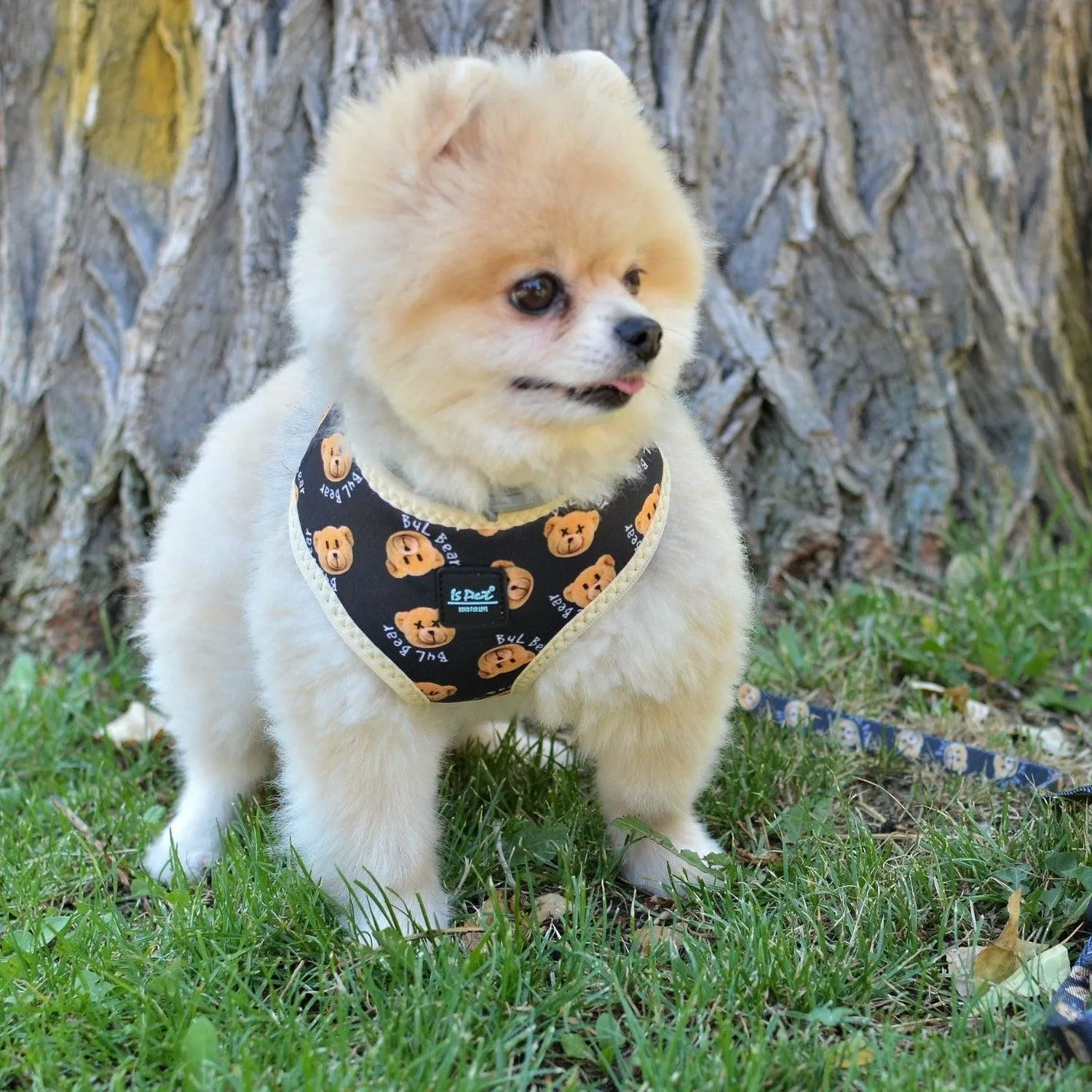 Dog Harness - Teddy Bear