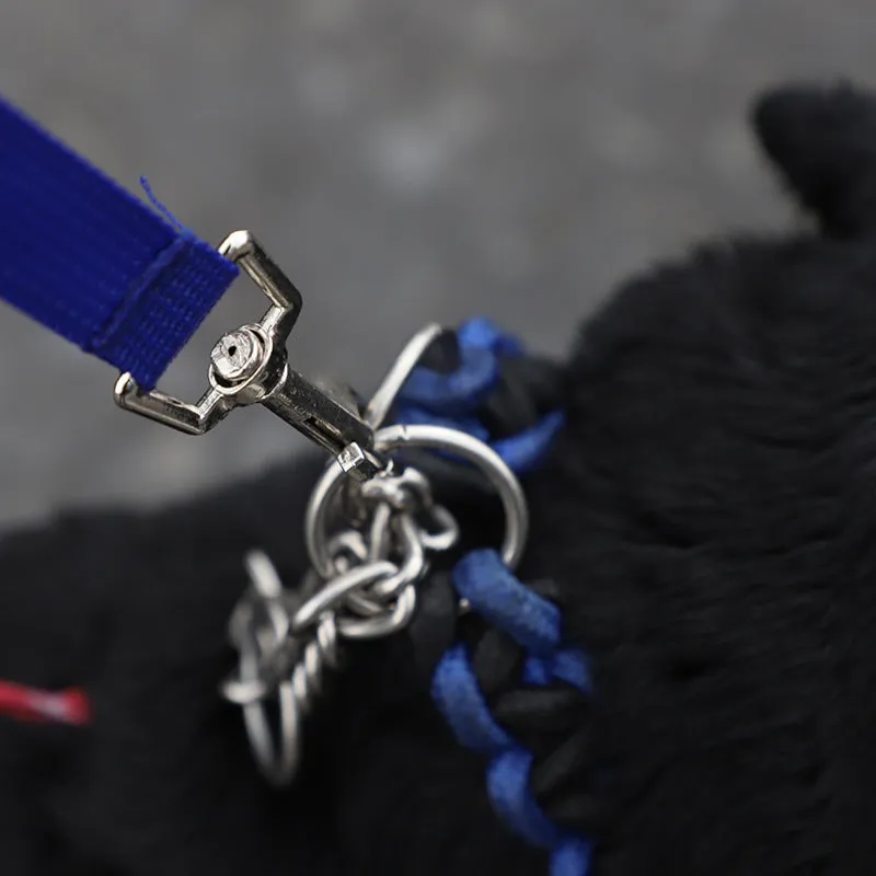 Dog Leash Water Bottle Bowl