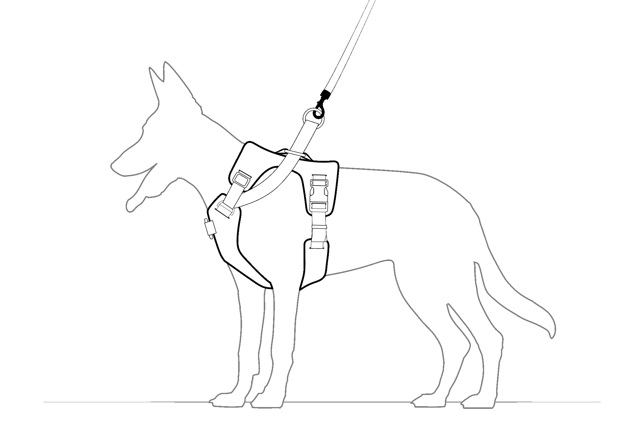DUO 'Adapt' Original No Slip Dog Harness