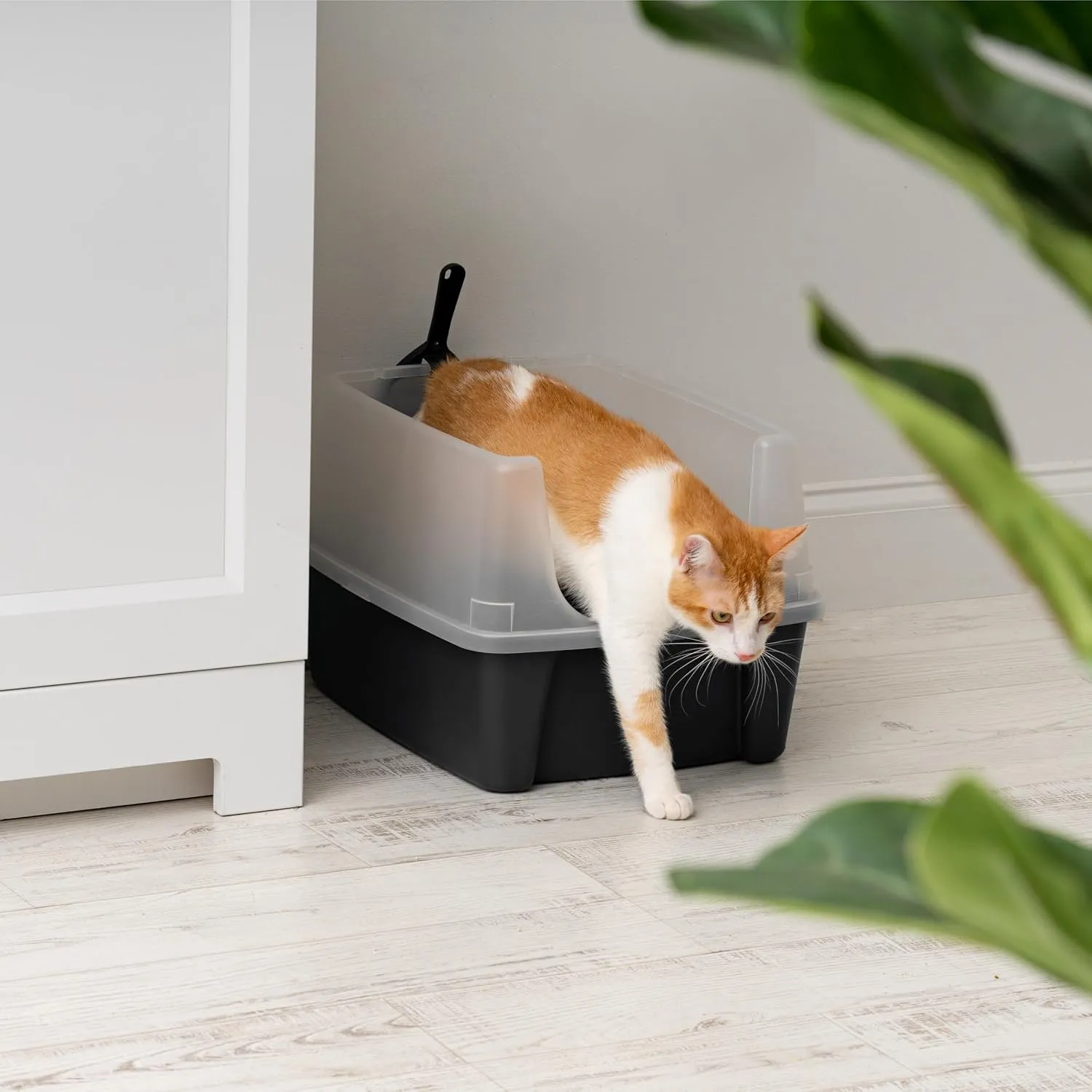 IRIS USA Large Cat Litter Box with Scatter Shield and Scoop, Open Top High Sided Cat Litter Pan, Black
