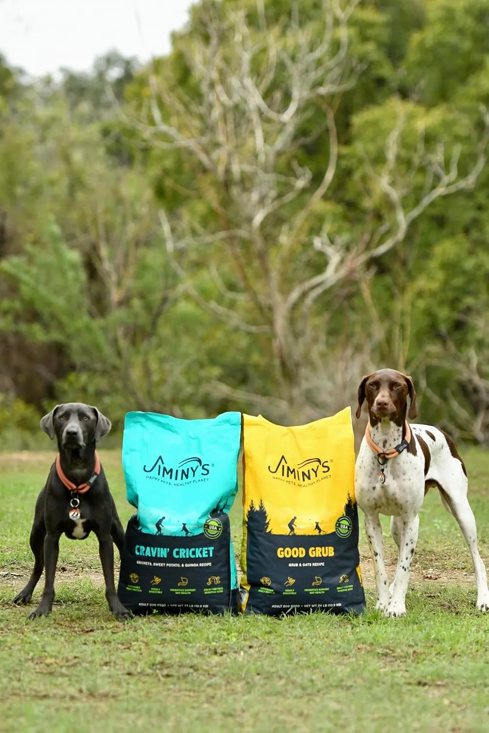 Jiminy's Cravin' Cricket Dry Dog Food, Sensitive Stomach, Improved Gut Health, Probiotic & Prebiotic, Hypoallergenic, Lower Carbon Footprint, Made in USA, 24lb Bag (Pack of 1)