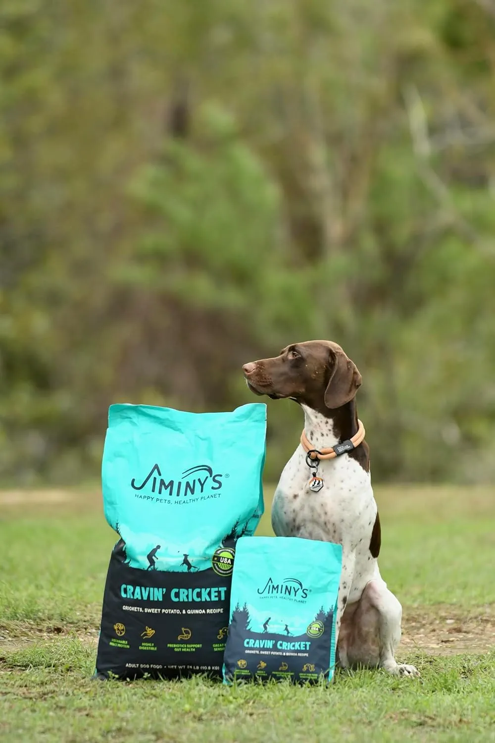 Jiminy's Cravin' Cricket Dry Dog Food, Sensitive Stomach, Improved Gut Health, Probiotic & Prebiotic, Hypoallergenic, Lower Carbon Footprint, Made in USA, 24lb Bag (Pack of 1)