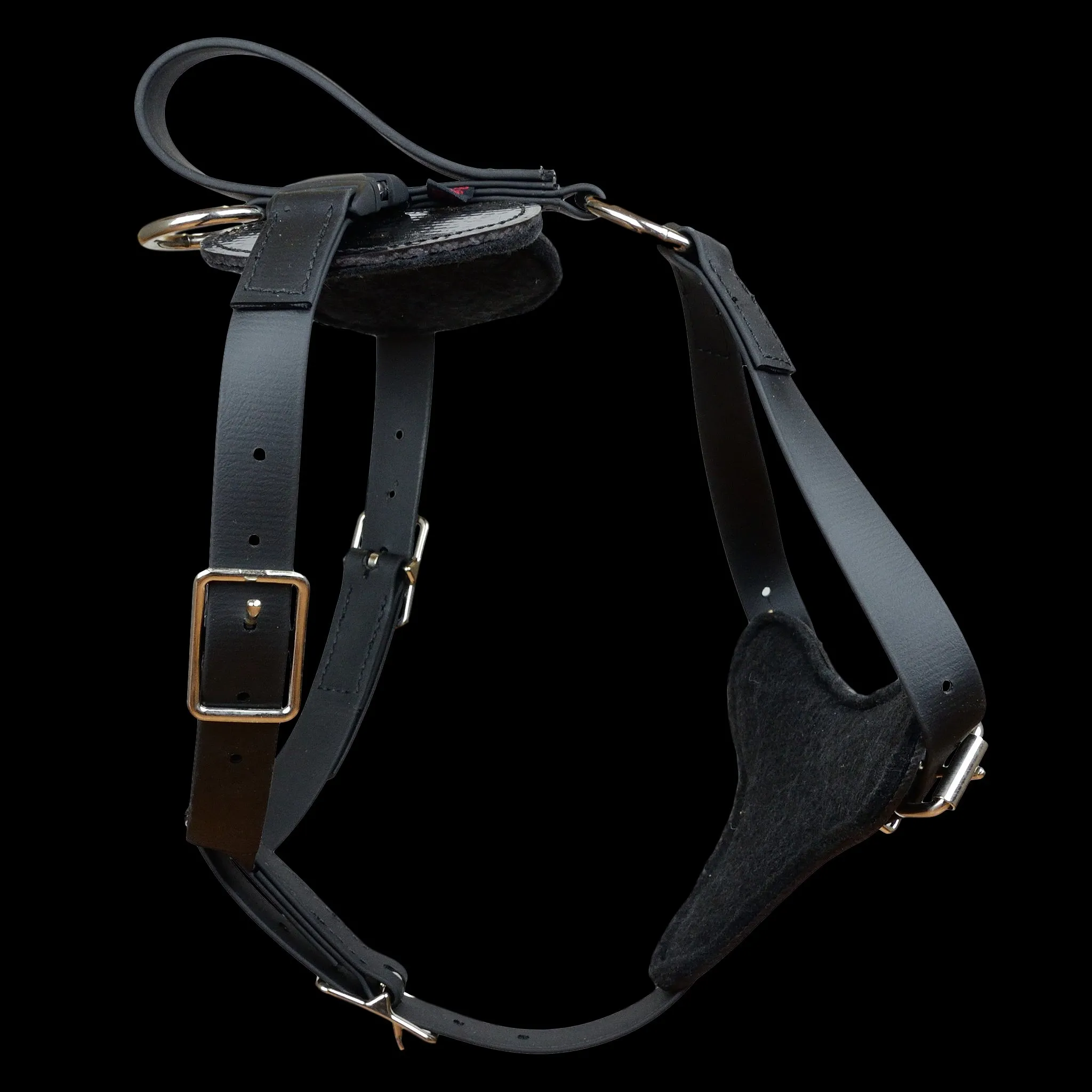 Padded All Weather Quick Release Harness