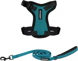 Voyager Step-in Lock Adjustable Cat Harness w. Cat Leash Combo Set with Neoprene Handle 5ft - Supports Small, Medium and Large Breed Cats by Best Pet Supplies - Turquoise/Black Trim, XXS